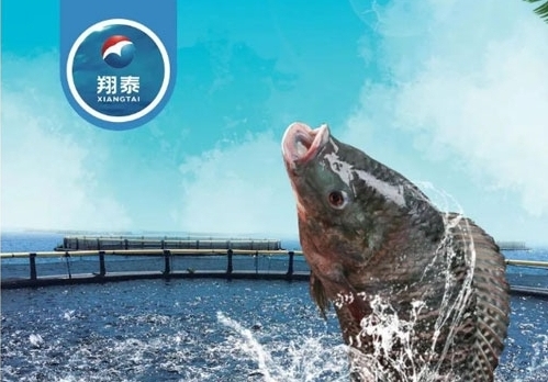 翔泰漁業深耕【海南鯛】近二十年，堅持高品質水產品穩定供應，不斷創新研發產品以滿足不同市場需求！