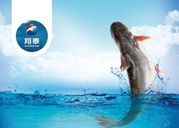 繼金鯧魚、海南鯛之后！翔泰漁業全力打造第三條精品魚【海南巴沙魚】