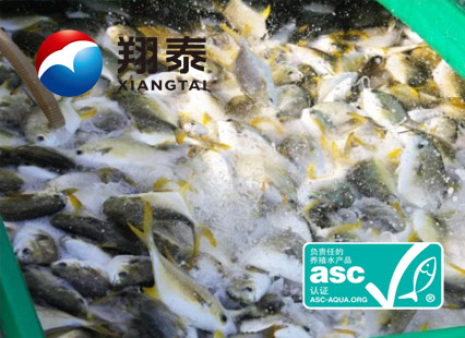 全球首家！海南翔泰漁業榮獲全球首張ASC金鯧魚網箱養殖認證證書
