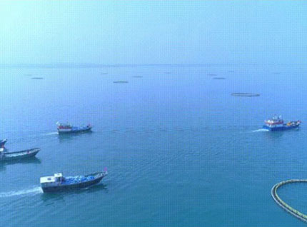 首批漁獲——翔泰2023金鯧魚全面開捕，從南海到餐桌，全程可追溯！