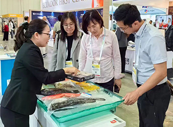 深耕海外市場--海南翔泰漁業(yè)閃耀新加坡、土耳其國際展會(huì)，解鎖全球水產(chǎn)合作新機(jī)遇